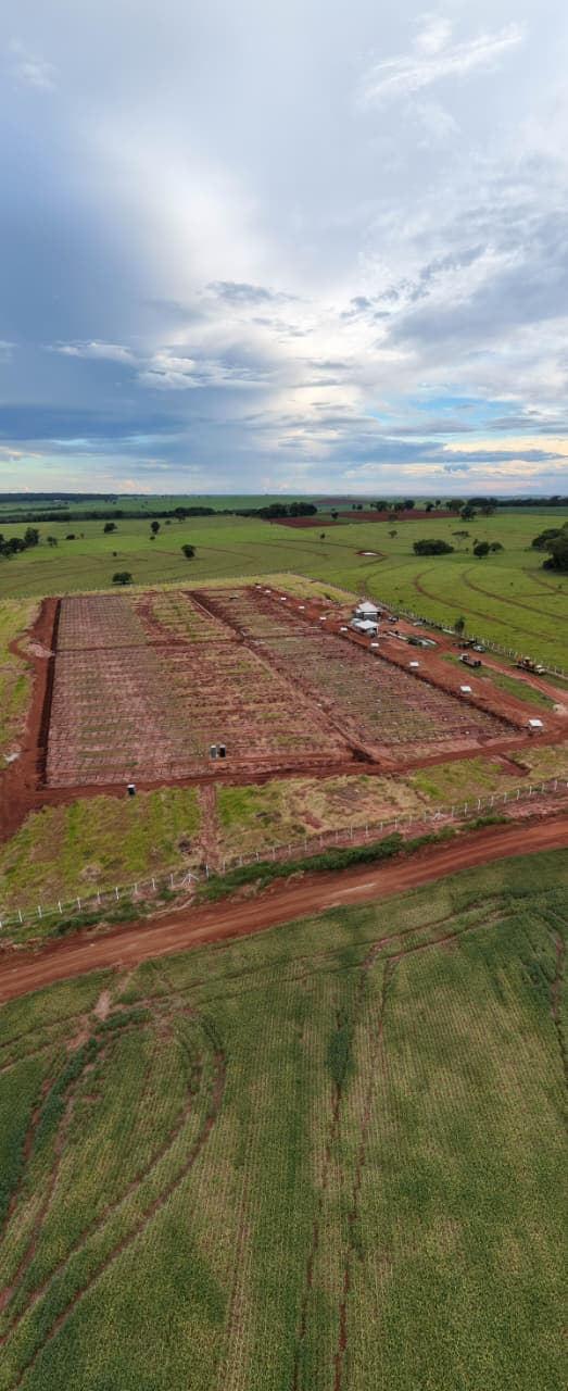 Paisagem rural com campos agrícolas